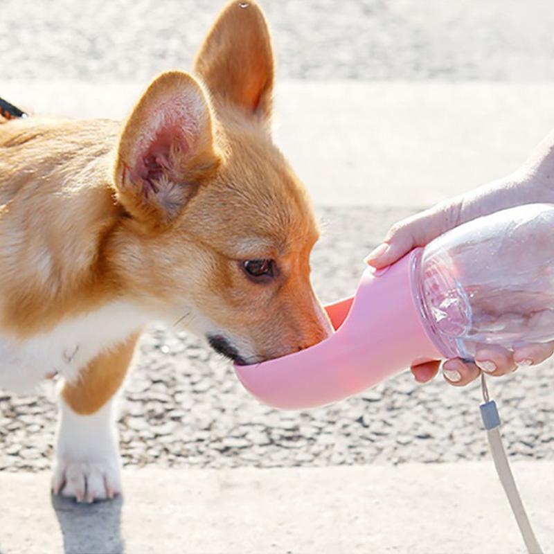 Dog Water Dispenser Bottle