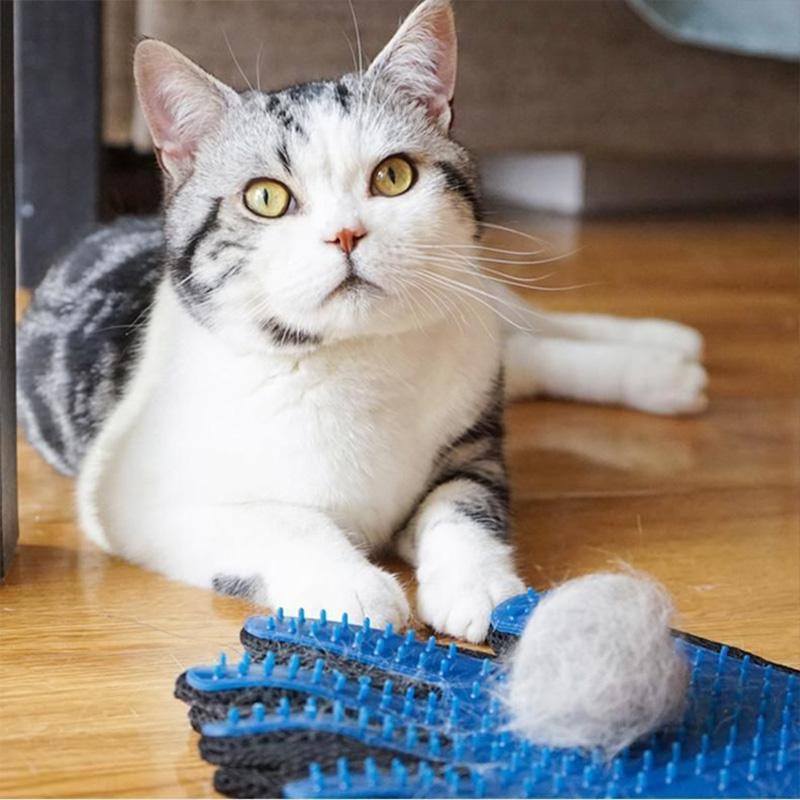 Pet Grooming Glove