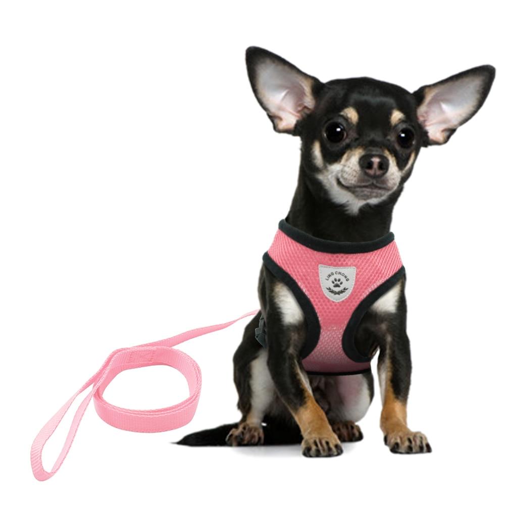 Mesh Cat Harness and Leash