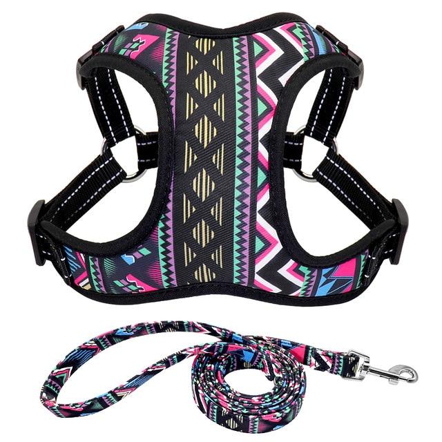 Nylon Dog Harness and Leash