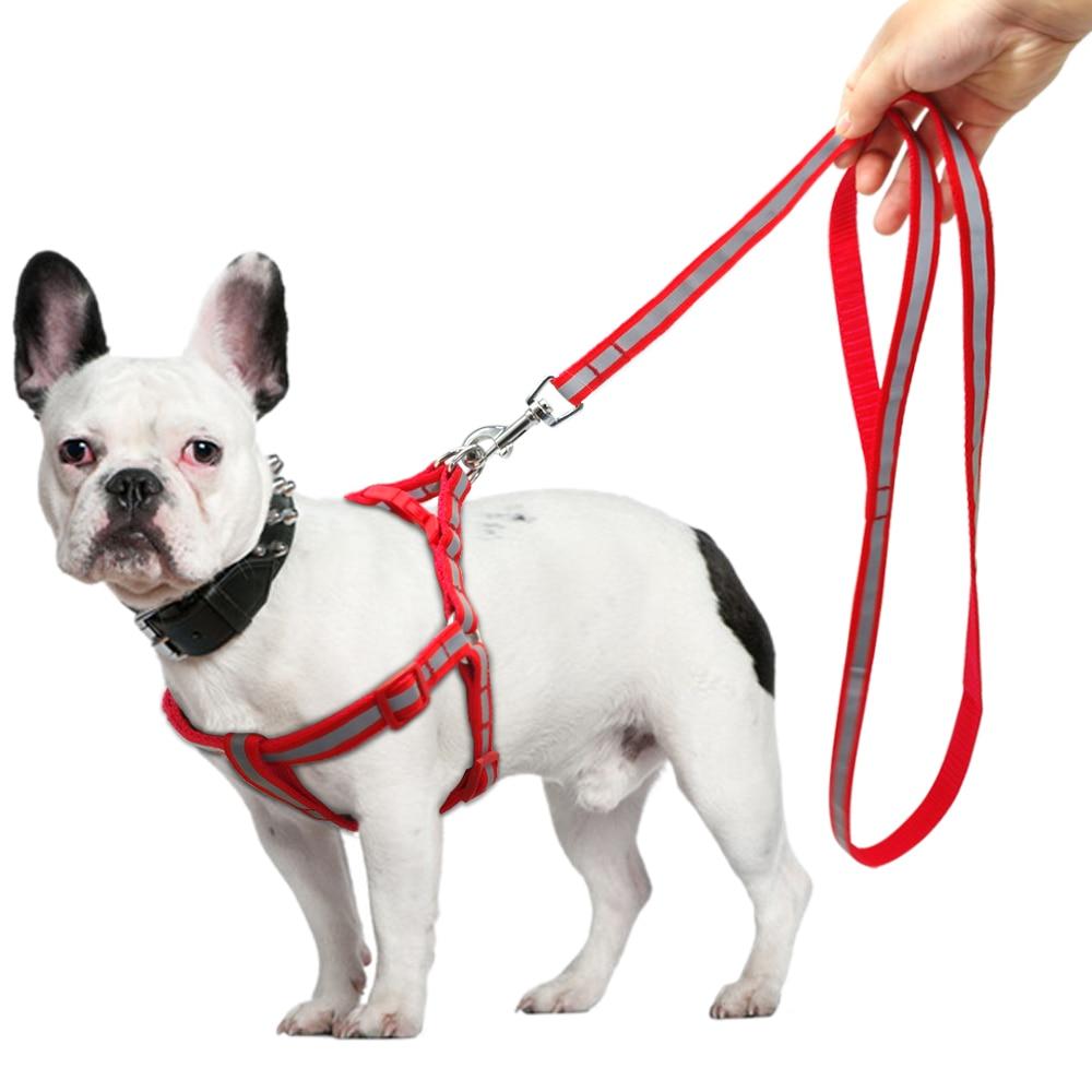 Small Dog Harness and Leash