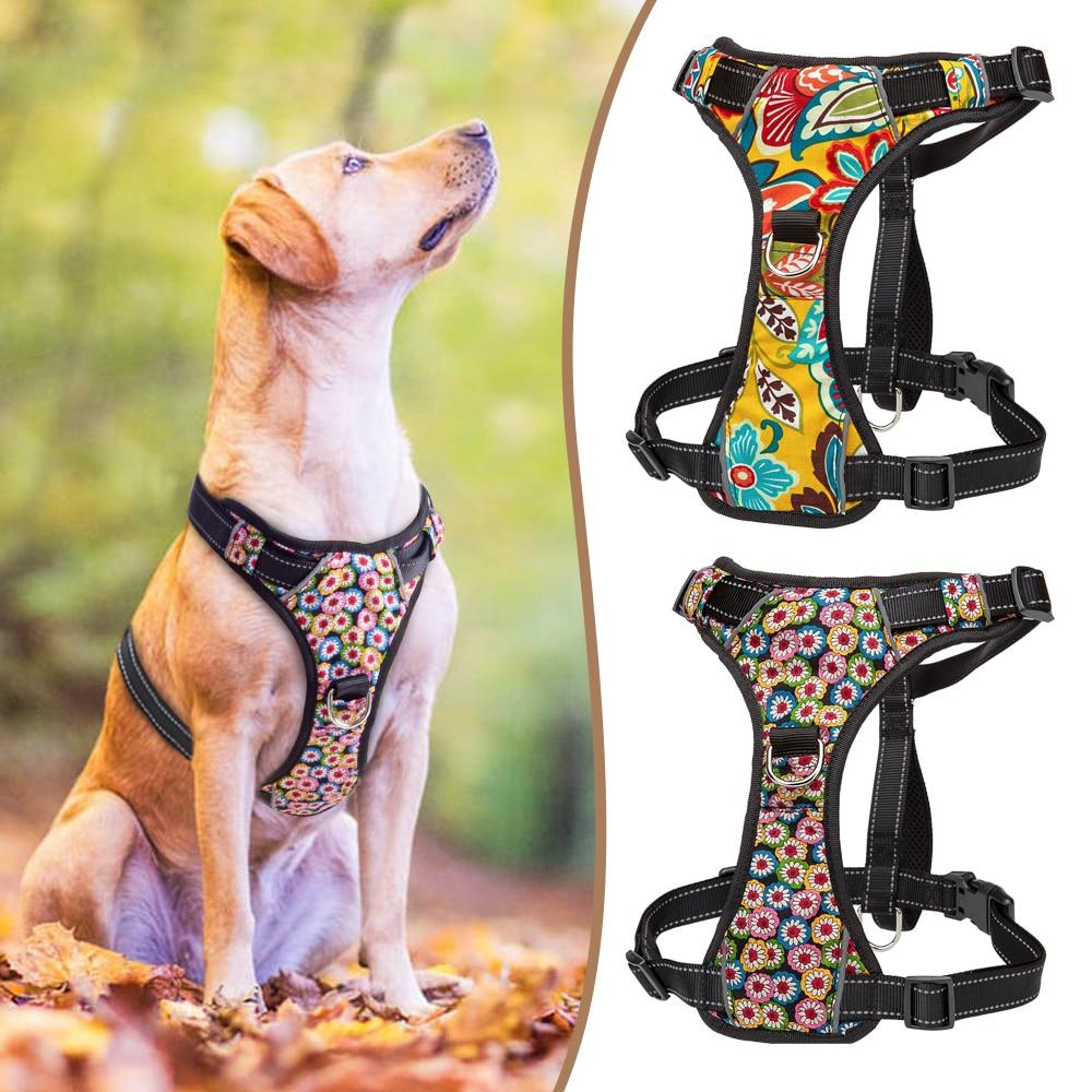 Absque Quick Control Dog Harness