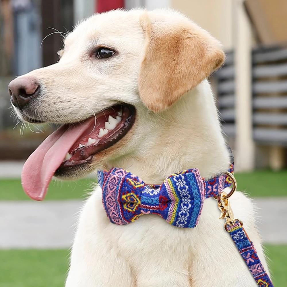 Cute Bowknot Dog Collar