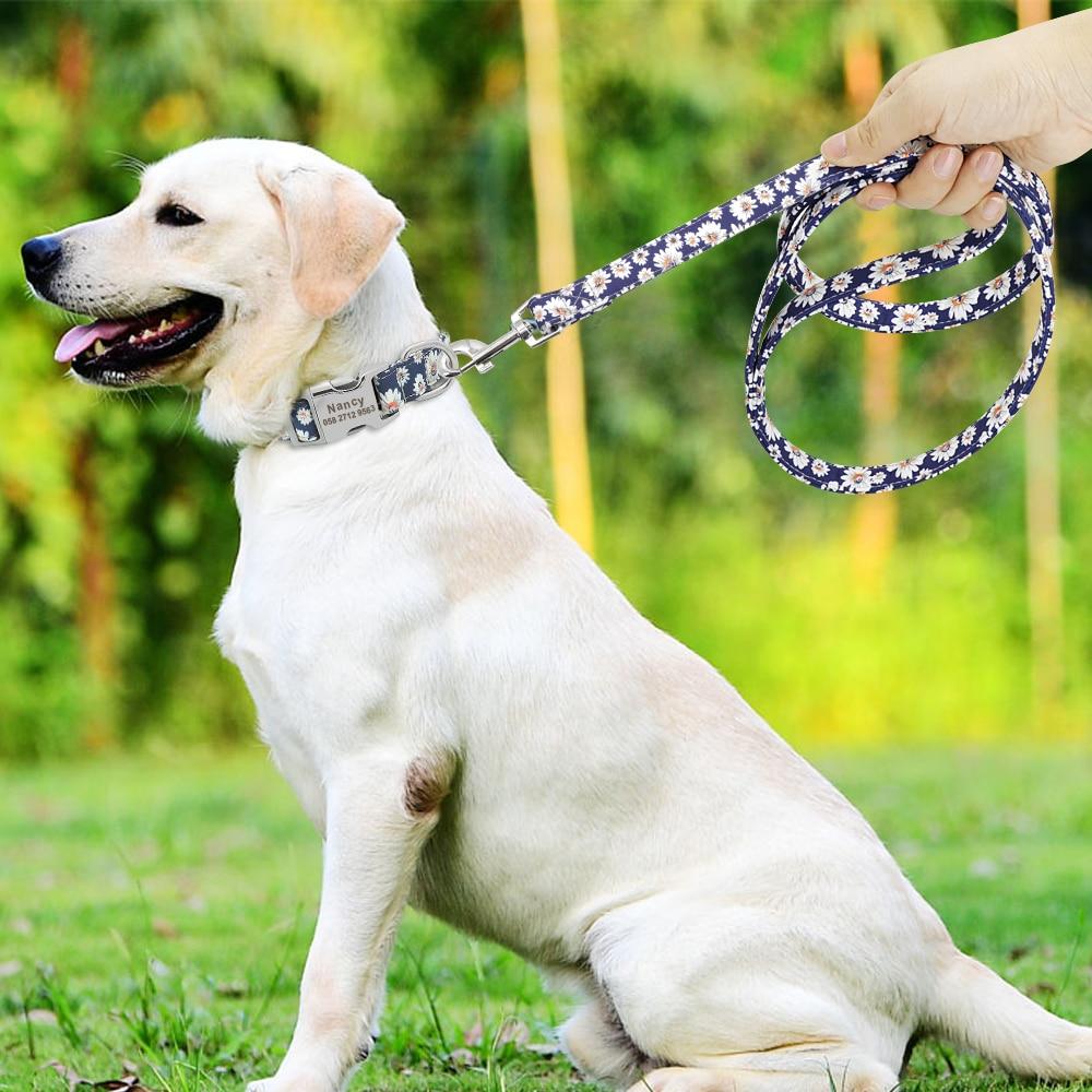 Capi Printed Pet Leash