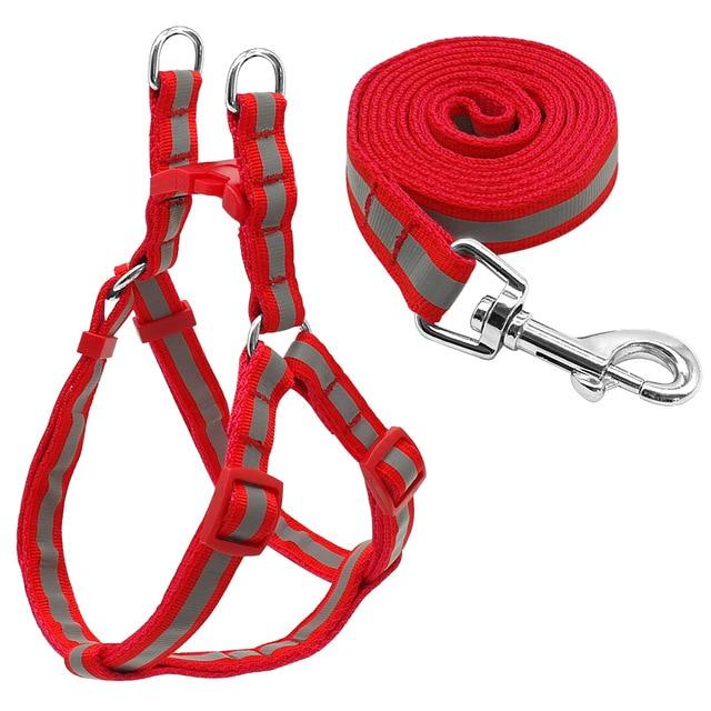 Small Dog Harness and Leash