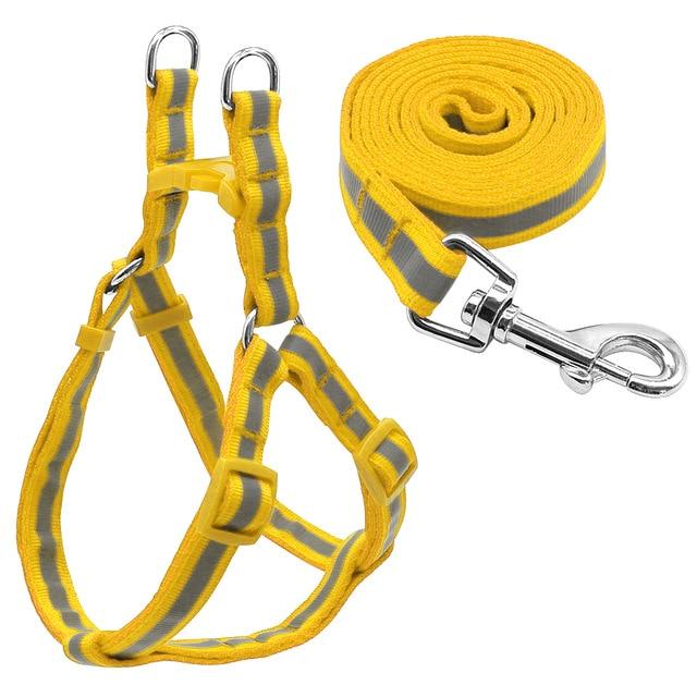 Small Dog Harness and Leash