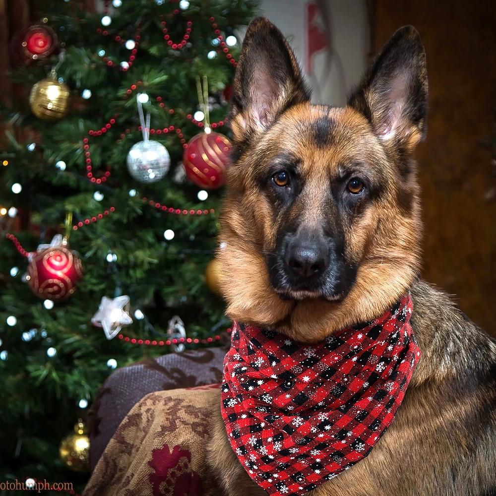 Christmas Dog Bandana Plaid Collar