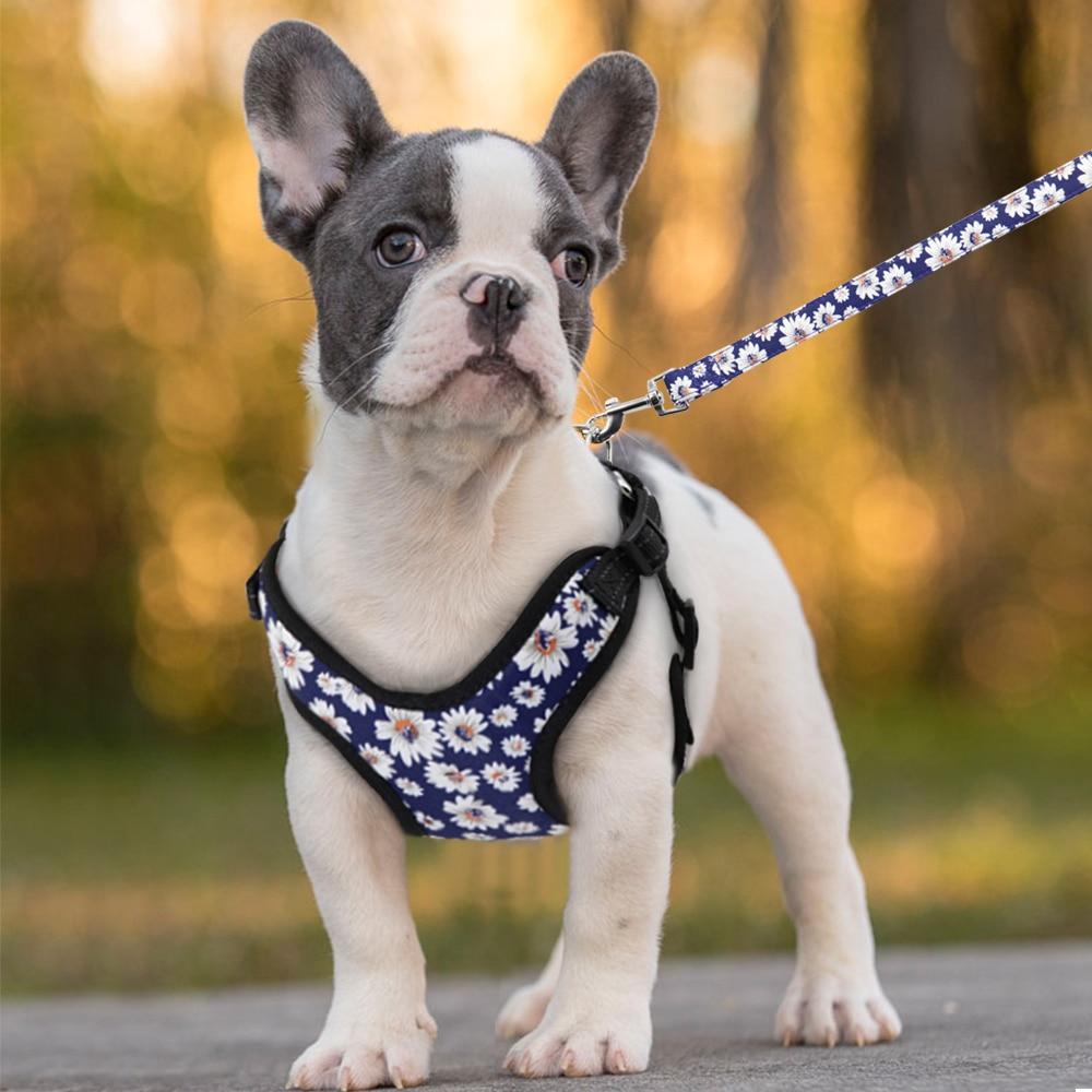 Nylon Dog Harness and Leash