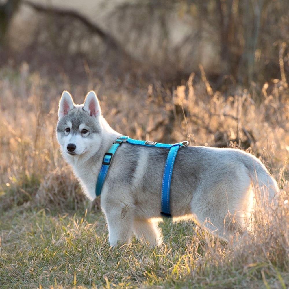 Reflective Nylon Dog Harness
