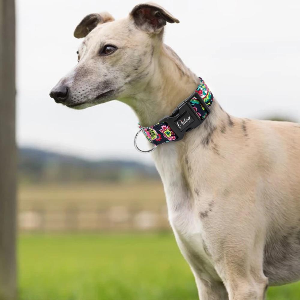 Wide Nylon Pet Dog Collar