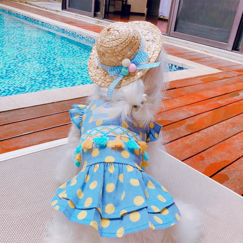 Summer Dress Pet Cloth