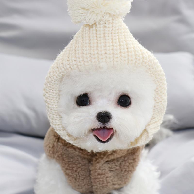 Warm Winter Jacket Puppy Outfit