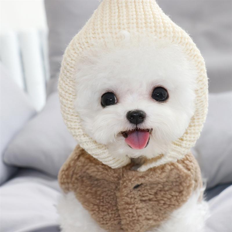 Warm Winter Jacket Puppy Outfit