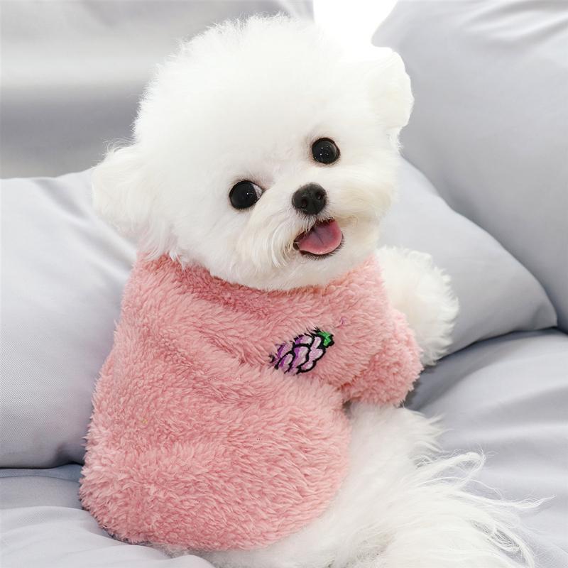 Fruit Embroidery Dog Cloth