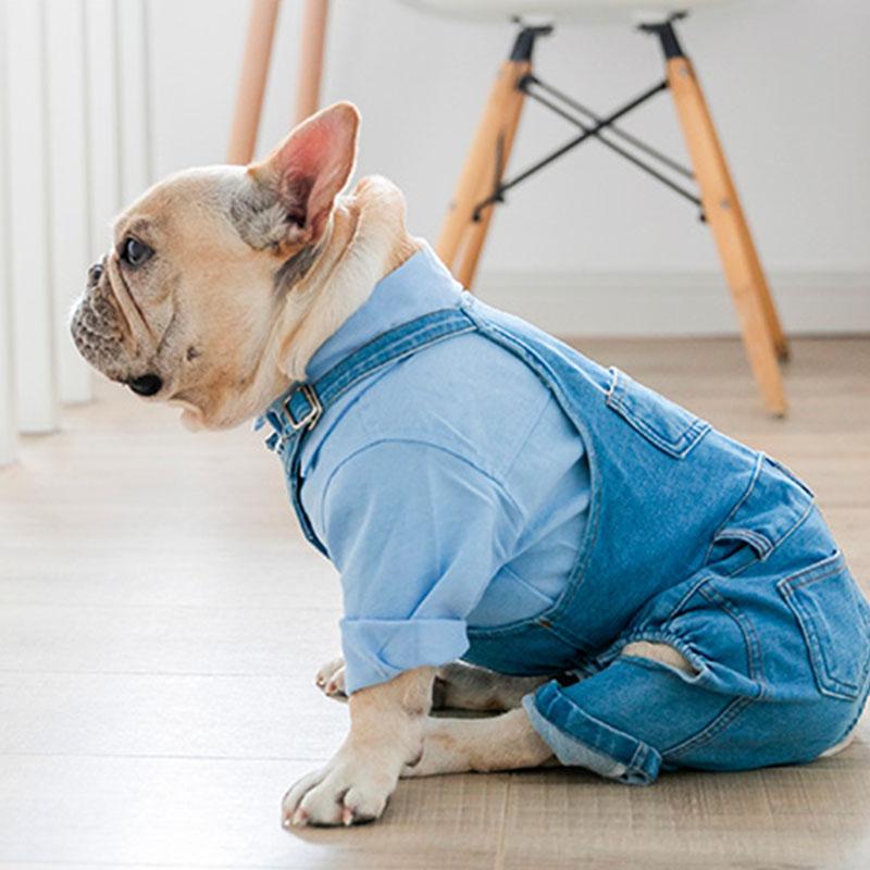 Cotton Dog Shirt with Coat