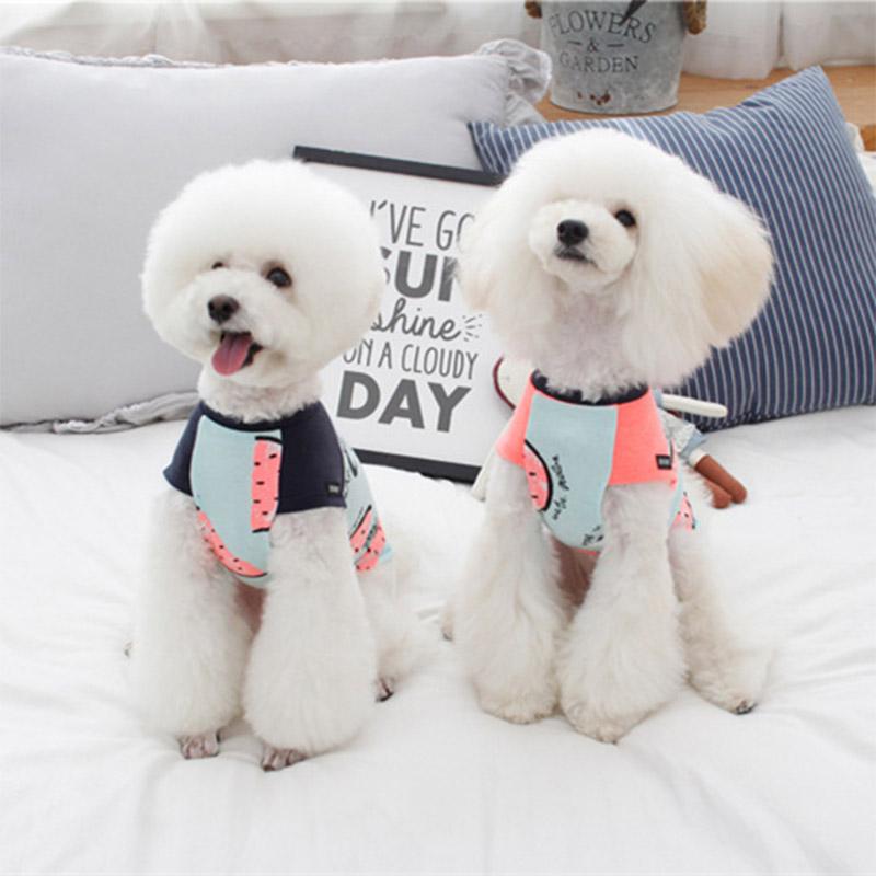 Watermelon Dog Costume