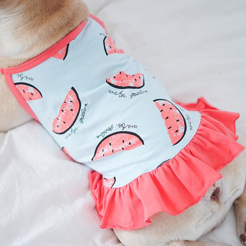 Watermelon Dog Costume