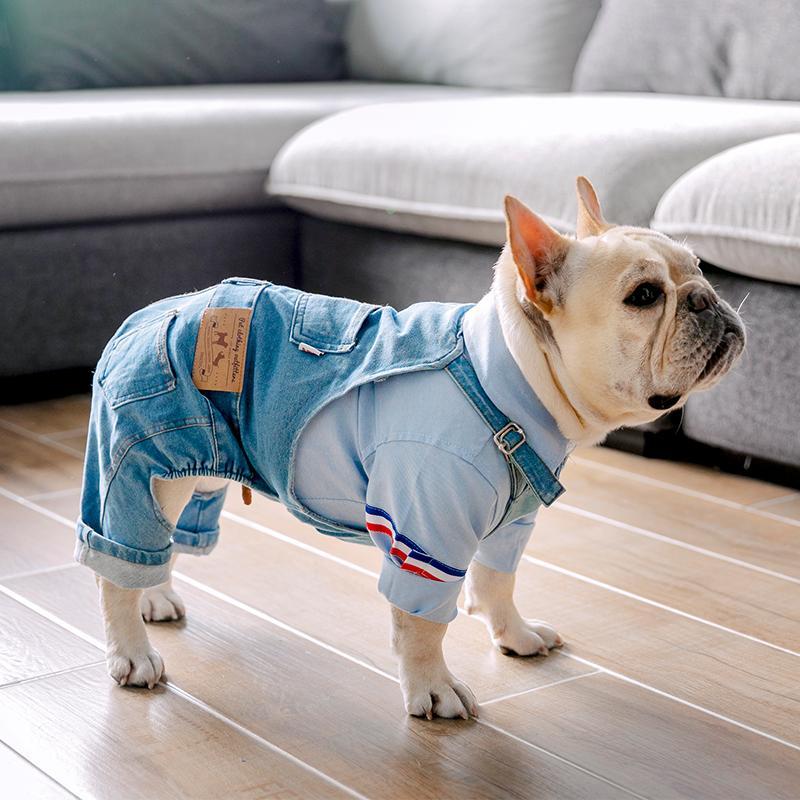 Denim Dog Coats